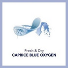 Технологии Caprice